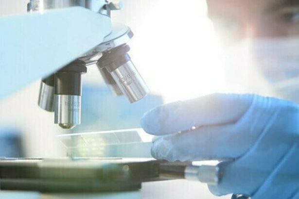 Vaccino anti-cancro per ogni tumore: “Buoni i test su animali. Potrebbe rappresentare la svolta” 13