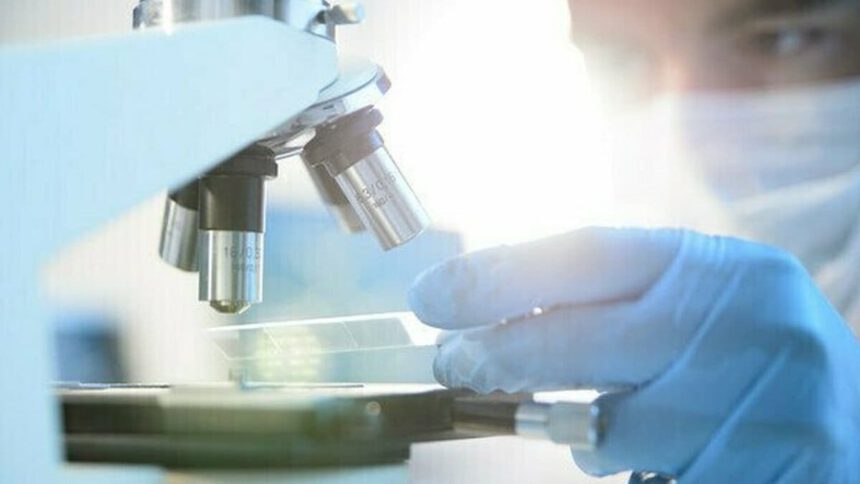 Vaccino anti-cancro per ogni tumore: “Buoni i test su animali. Potrebbe rappresentare la svolta” 1