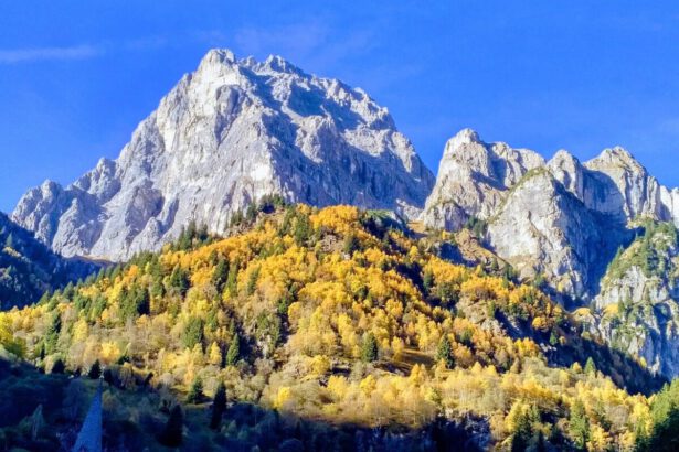 Colle Isarco, un'oasi alpina per le vacanze autunnali e invernali 19