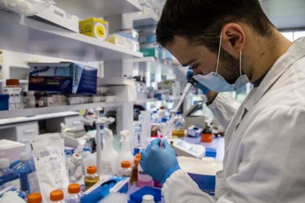 In Calabria i primi casi di Variante Xj: cosa sappiamo 11