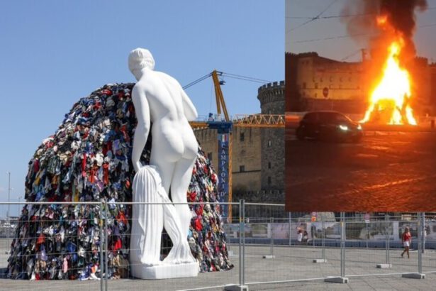 Perché la Venere degli stracci di Pistoletto è stata incendiata? 5