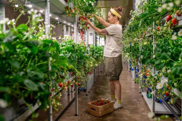 L'agricoltura punta in alto: le nuove soluzioni del vertical farming 49