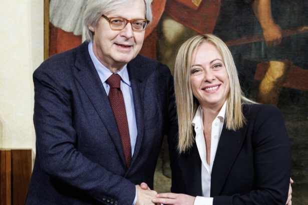 Vittorio Sgarbi: "Mi candido alle Europee con FdI. Ne ho parlato con Meloni" 15