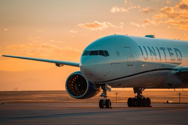 Arriva Bari-New York, il volo diretto da giugno 2025 19