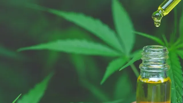 Tar sospende decreto sulla 'light': "Sì ai prodotti al Cbd, non provato pericolo di dipendenza" 4 Tar sospende decreto sulla 'light': "Sì ai prodotti al Cbd, non provato pericolo di dipendenza" 3