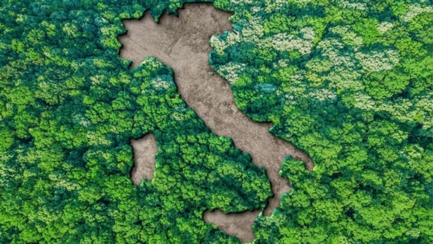 Nasce Ambiente Italia: "È un punto di riferimento nazionale per le tematiche green" 2 Nasce Ambiente Italia: "È un punto di riferimento nazionale per le tematiche green" 1