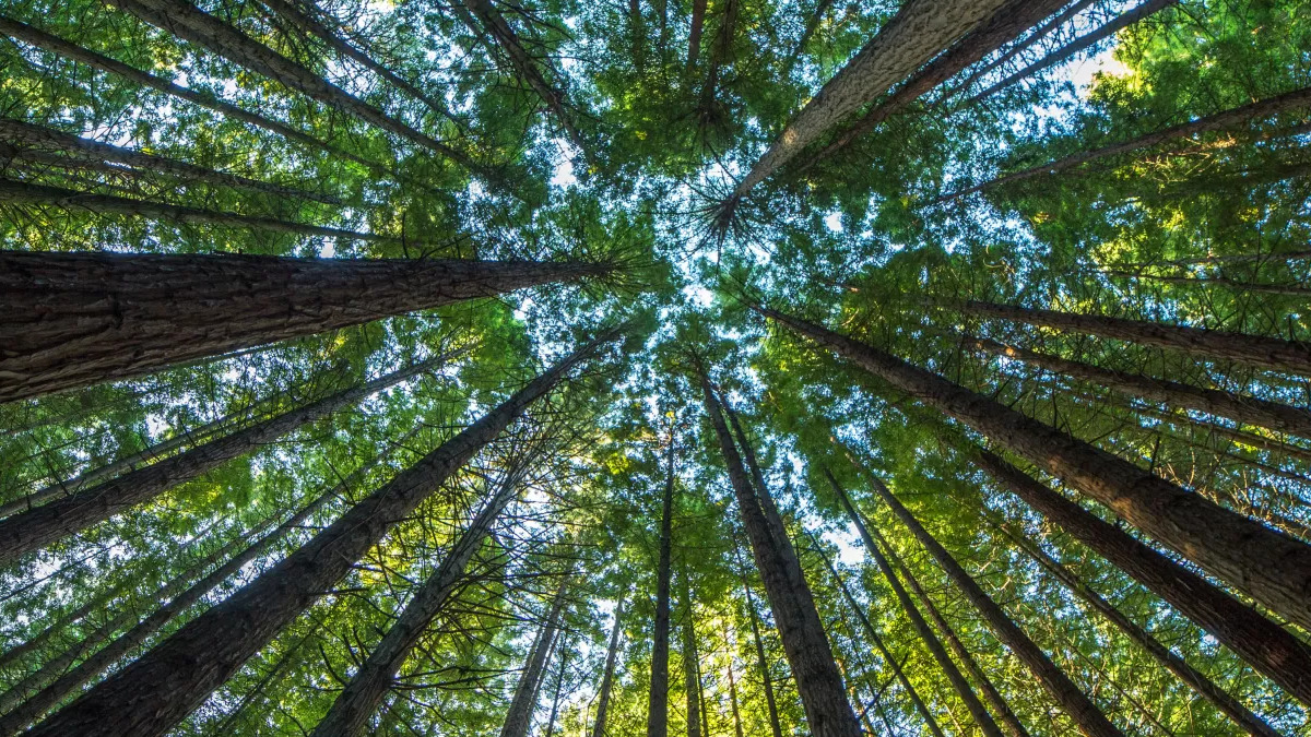 Nasce Ambiente Italia: "È un punto di riferimento nazionale per le tematiche green" 3