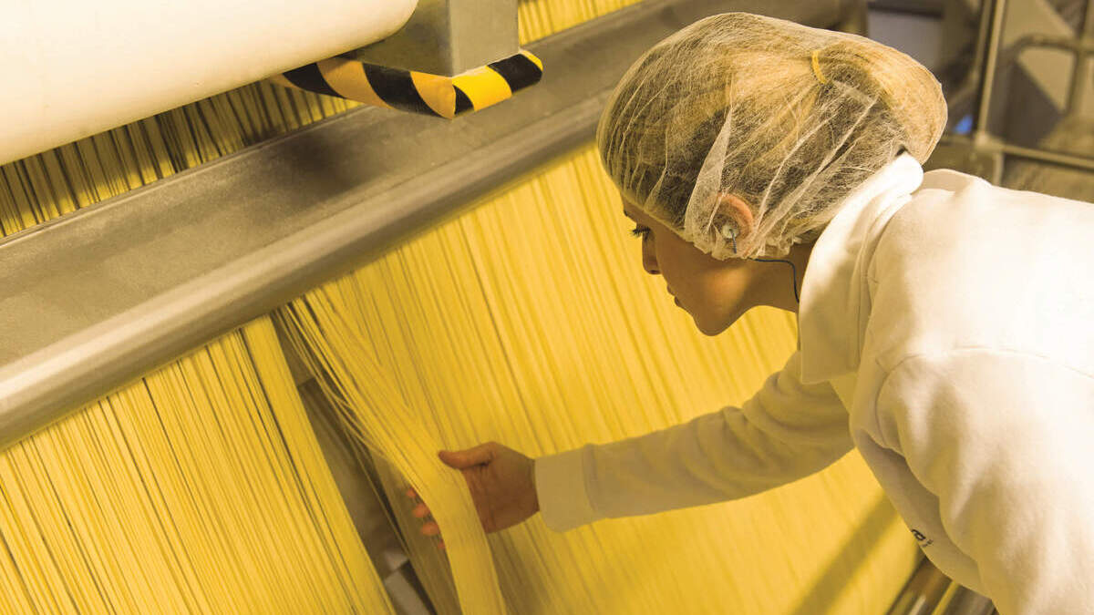 Barilla punta sul green: "Il 50% dell'energia prodotta da fonti rinnovabili" 21