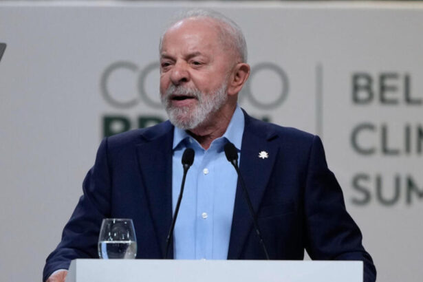 Al via la COP30 in Brasile: cosa si discuterà quest'anno in 5 punti 16