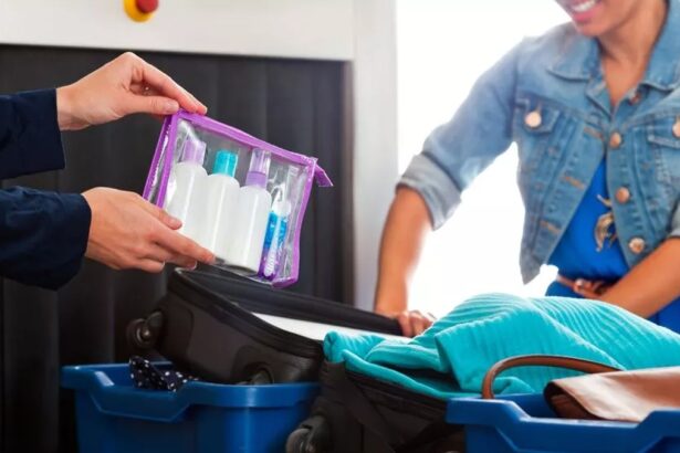 Addio al limite sui liquidi in aereo: le novità in arrivo 18