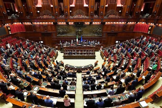 Università e ricerca, il nuovo decreto è legge: tutte le novità 11