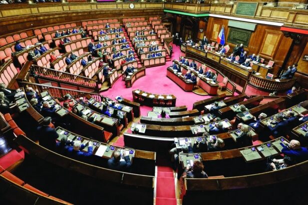 Il femminicidio diventa reato: un traguardo condiviso, l’Italia tra le prime Nazioni 19