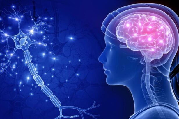 Un software made in Italy prevede l'Alzheimer: “Accuratezza fino al 90%” 74