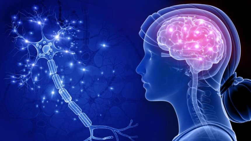 Un software made in Italy prevede l'Alzheimer: “Accuratezza fino al 90%” 1