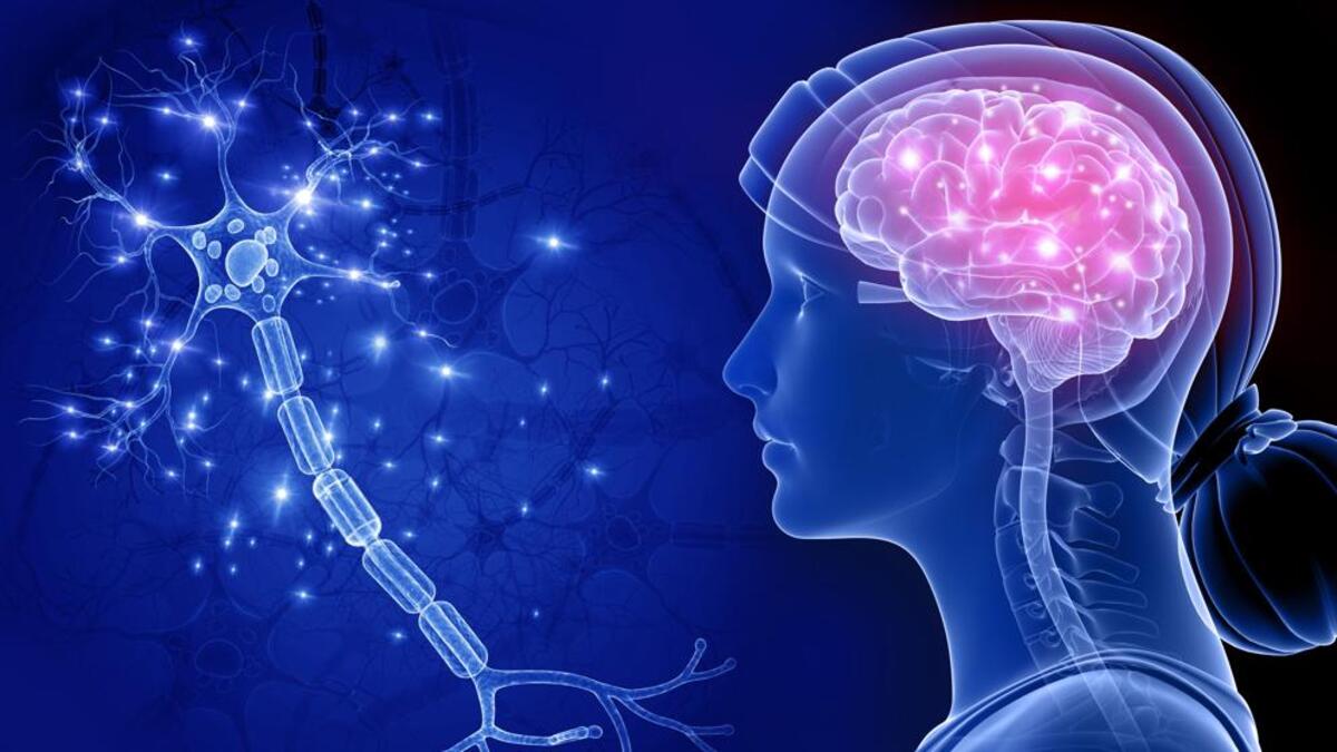 Un software made in Italy prevede l'Alzheimer: “Accuratezza fino al 90%” 15