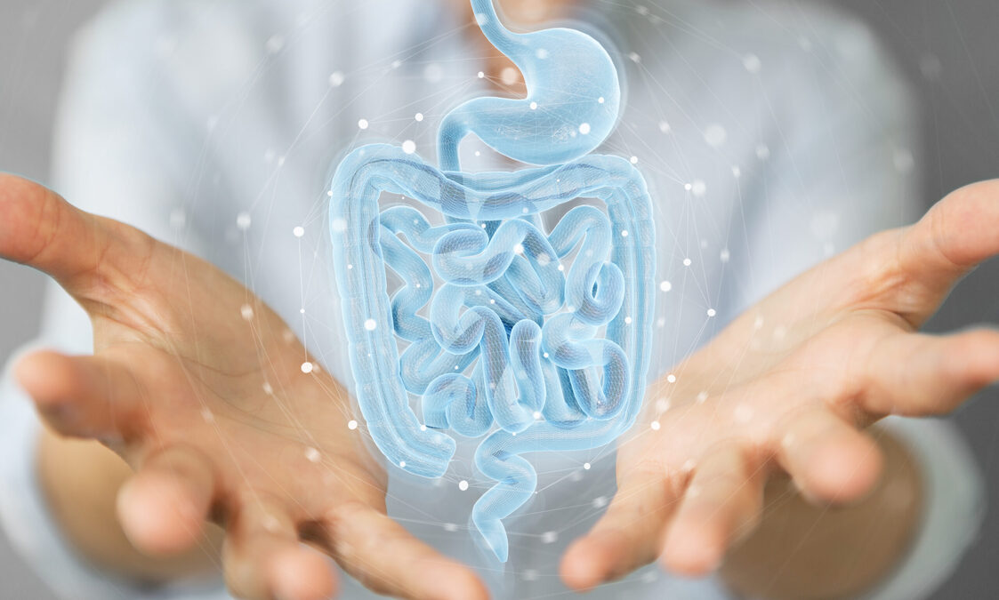 Microbiota intestinale: prendersene cura è un investimento sulla salute  11