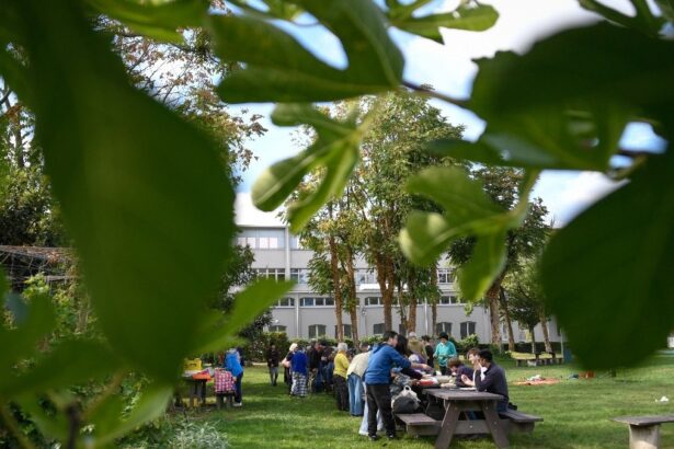 Milano Green Week 2025, tra eventi e iniziative per una città più sostenibile 15