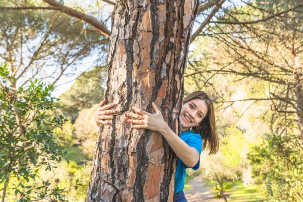 Regolamento Europeo contro la Deforestazione: che succede da fine 2025? 19