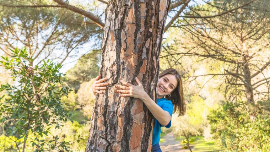 Regolamento Europeo contro la Deforestazione: che succede da fine 2025? 1