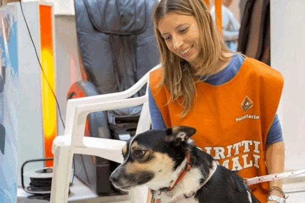 Chi era Alessia Monti, l'"angelo degli animali" con l'amore per i randagi 25