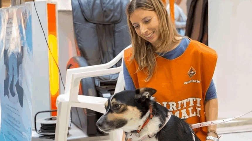 Chi era Alessia Monti, l'"angelo degli animali" con l'amore per i randagi 2 Chi era Alessia Monti, l'"angelo degli animali" con l'amore per i randagi 1