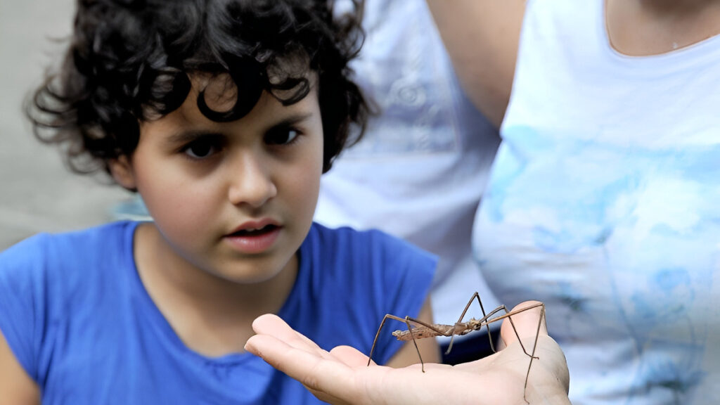 Perché sin da bambini dobbiamo apprendere l'importanza delle api? 5