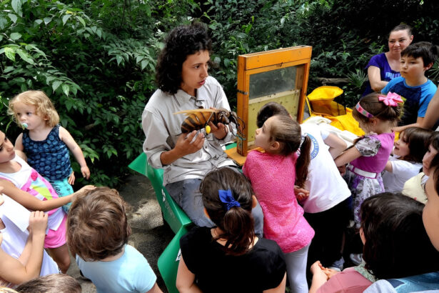 Perché sin da bambini dobbiamo apprendere l'importanza delle api? 14