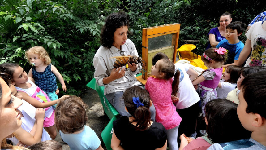 Perché sin da bambini dobbiamo apprendere l'importanza delle api? 1