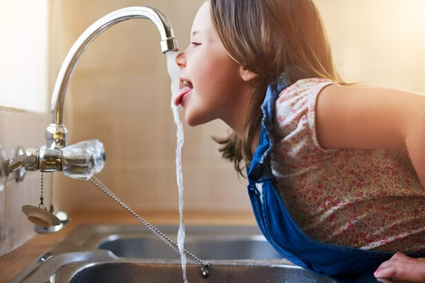 PFAS, arriva un decreto che protegge l'acqua potabile dall'inquinamento 31