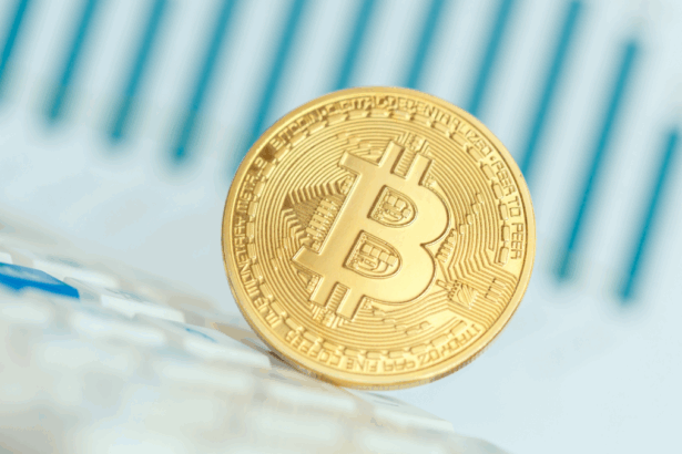 Bitcoin sfiora nuovi record nel 2025: sarà il nuovo oro digitale? 9