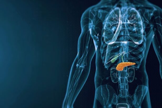Trapianto di pancreas, tra robot e cellule staminali per scrivere il futuro 5