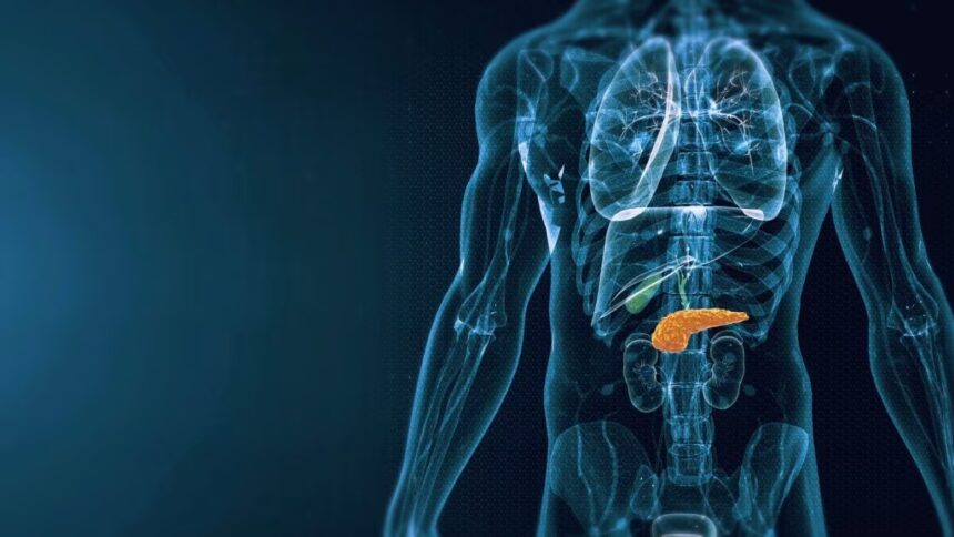 Trapianto di pancreas, tra robot e cellule staminali per scrivere il futuro 1