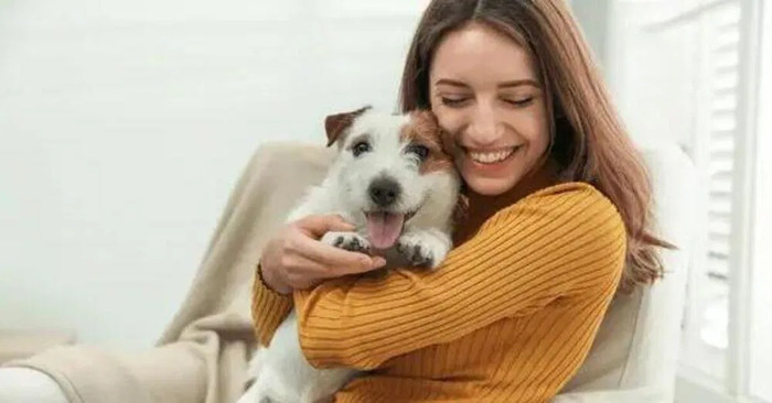 Studio sugli animali: "Vivere con un cane o gatto fa bene come sposarsi o guadagnare 80mila euro" 7