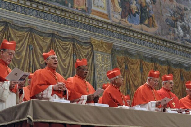 Il Conclave inizia il 7 maggio e la Cappella Sistina chiude: cosa succederà ora? 19