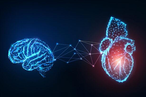 Svelato il vero meccanismo dell'emozione: "Scoperto il legame tra cuore-cervello" 13