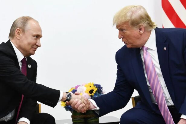 Trump e Putin vicini al dialogo: i possibili punti dell'incontro 20