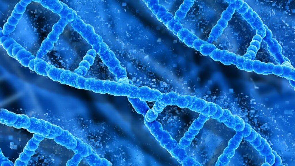 Tumore alla prostata, qual è la nuova cura che blocca le metastasi 3