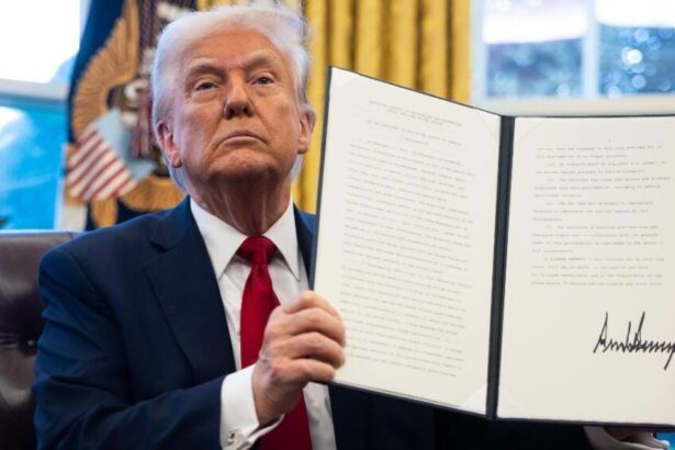 Trump, al via i dazi: qual è la risposta e il piano d'azione dell'Europa? 15