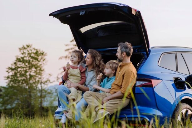 Auto elettriche, 600 milioni dal Governo: "Un incentivo alla decarbonizzazione" 21