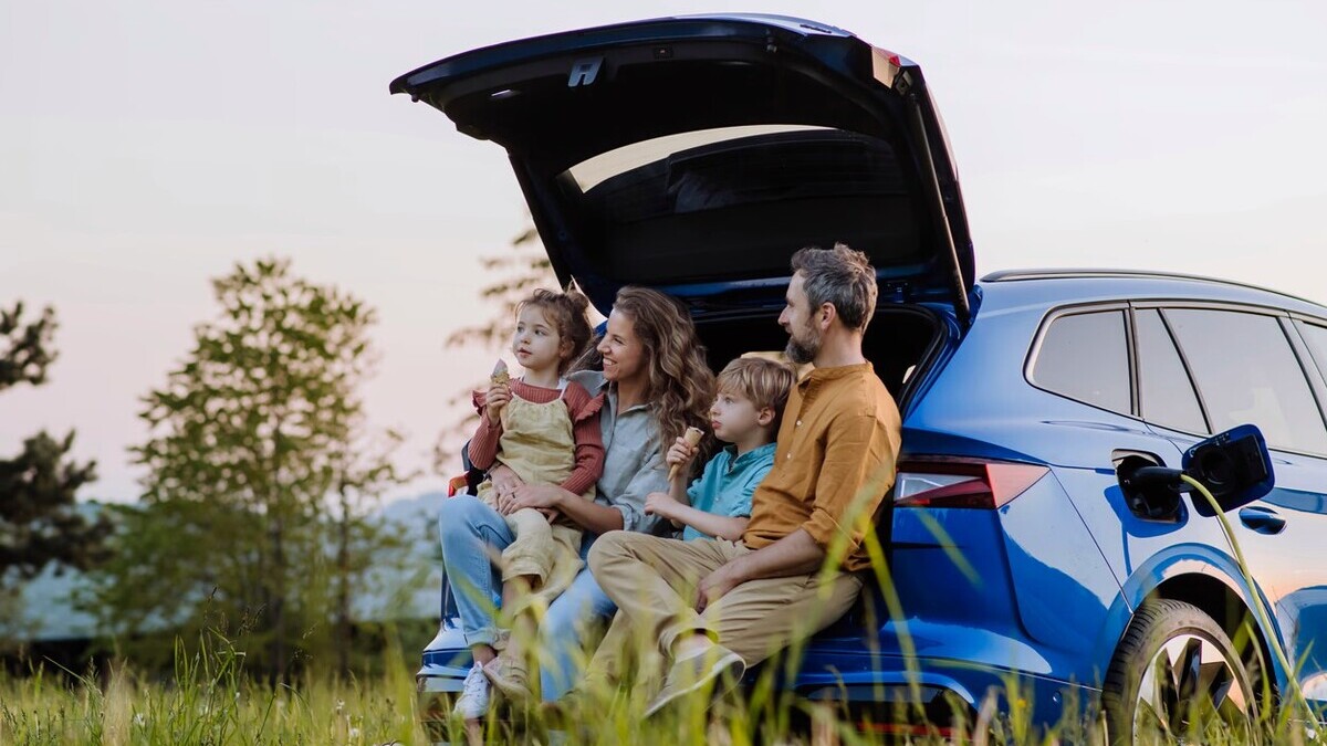 Auto elettriche, 600 milioni dal Governo: "Un incentivo alla decarbonizzazione" 21