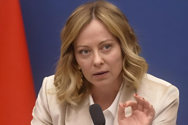 150 Paesi riconoscono lo Stato di Palestina: qual è la posizione dell'Italia? 14