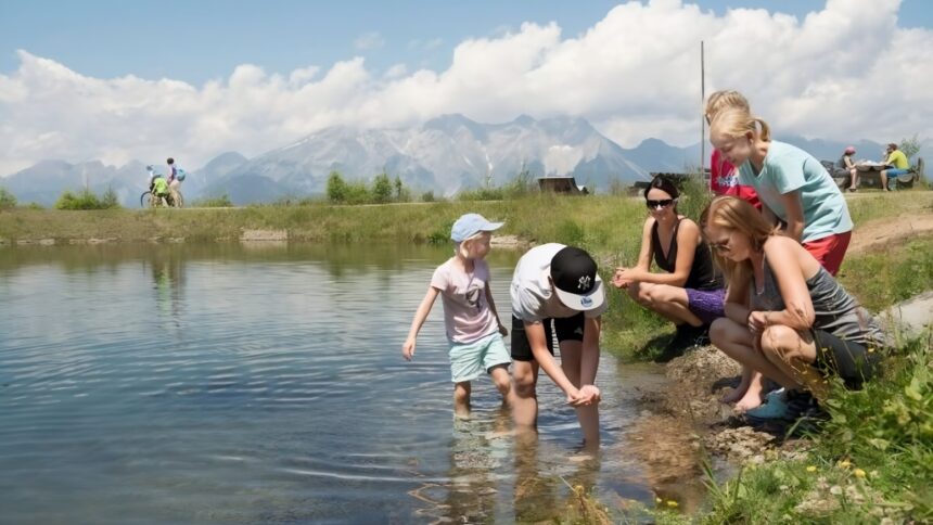 La prima Giornata mondiale dei laghi: "Vanno protetti per garantire la vita" 1
