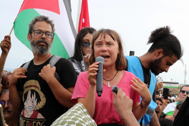 Perché Greta Thunberg ha lasciato il direttivo di Flotilla e cosa farà ora 20