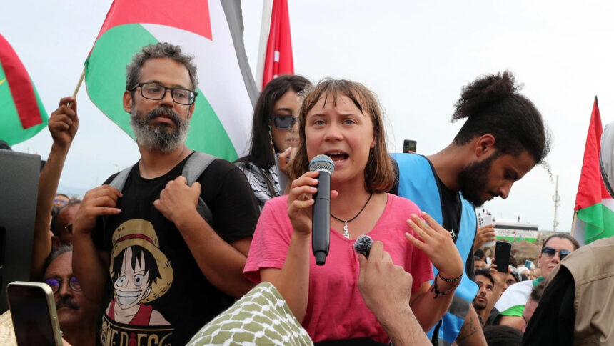 Perché Greta Thunberg ha lasciato il direttivo di Flotilla e cosa farà ora 1