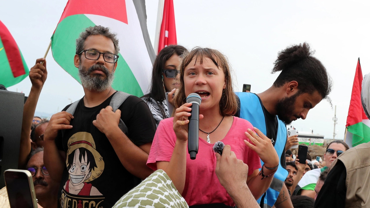 Perché Greta Thunberg ha lasciato il direttivo di Flotilla e cosa farà ora 19