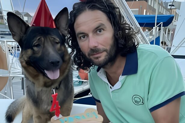 Al cane cieco Marley un premio per la gentilezza: "Rallegra i bimbi in ospedale" 17