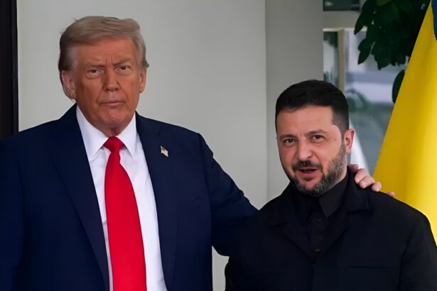 Trump e Zelensky alla Casa Bianca: "Buone possibilità di porre fine alla guerra" 13
