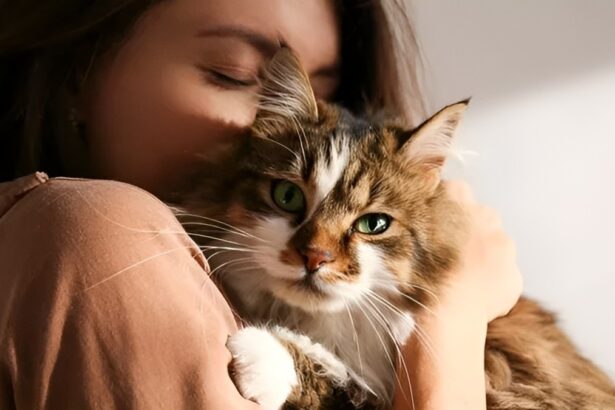 I benefici della cat therapy: combatte l'ansia, riduce lo stress e dona affetto 14