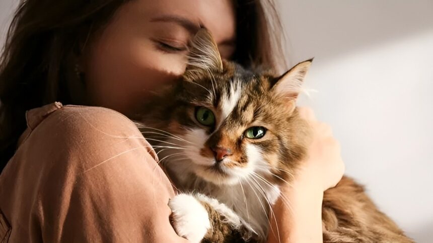 I benefici della cat therapy: combatte l'ansia, riduce lo stress e dona affetto 1