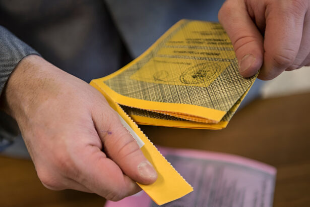 Il decreto elezioni diventa legge: approvato voto fuori sede e firma digitale 14